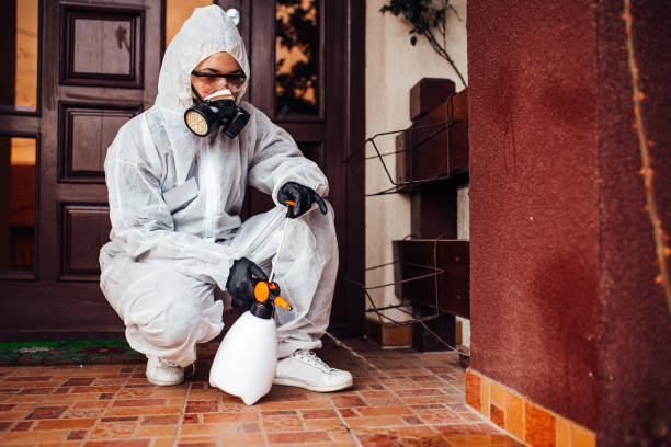 Reliable Ant Control contractor in Skidmore, TX by Show Me Pest Control
